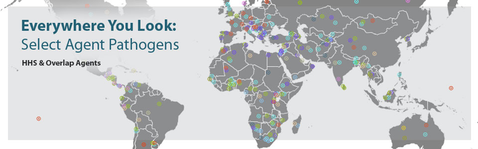 Everywhere You Look: Select Agent Pathogens - HHS and Overlap Agents