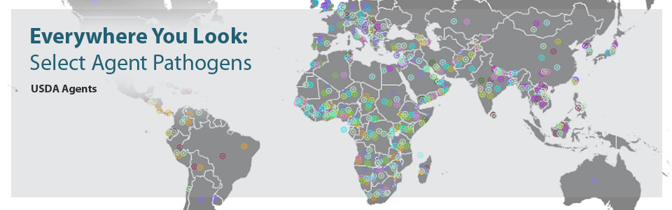 Everywhere You Look: Select Agent Pathogens - USDA Agents