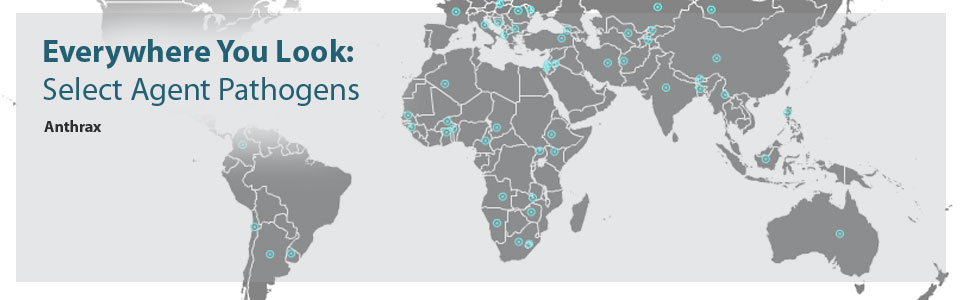 Everywhere You Look: Select Agent Pathogens - Anthrax