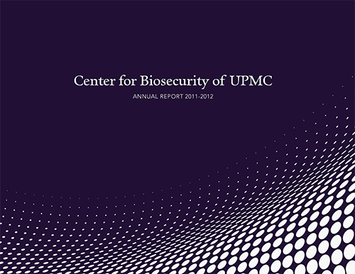 2012 annual report