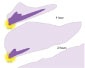 figure 2 thumbnail