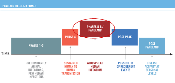 Illustration of WHO pandemic phases