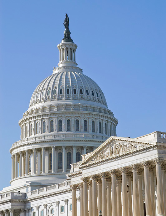 Image of Capital Bldg. Washington, DC