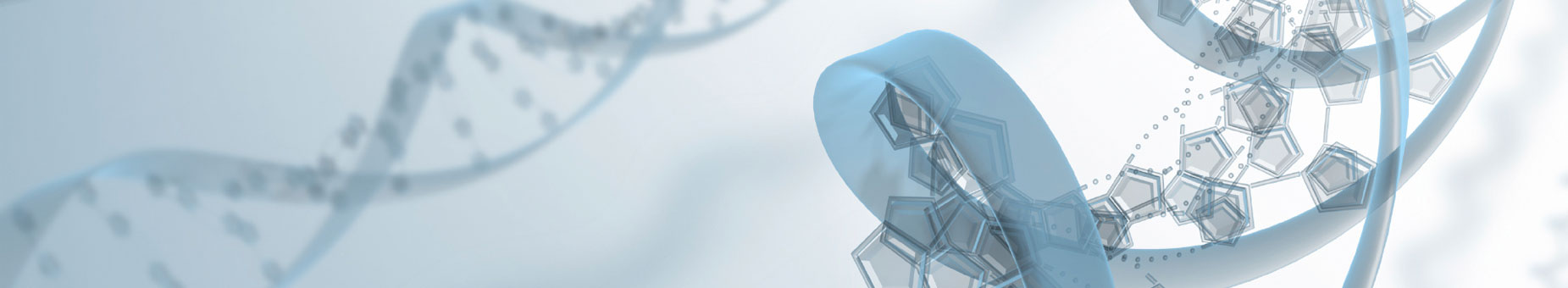 A Summit on Leadership during Bioterrorism banner