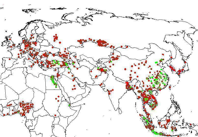 Map of bird and human H5N1 outbreaks since 2003