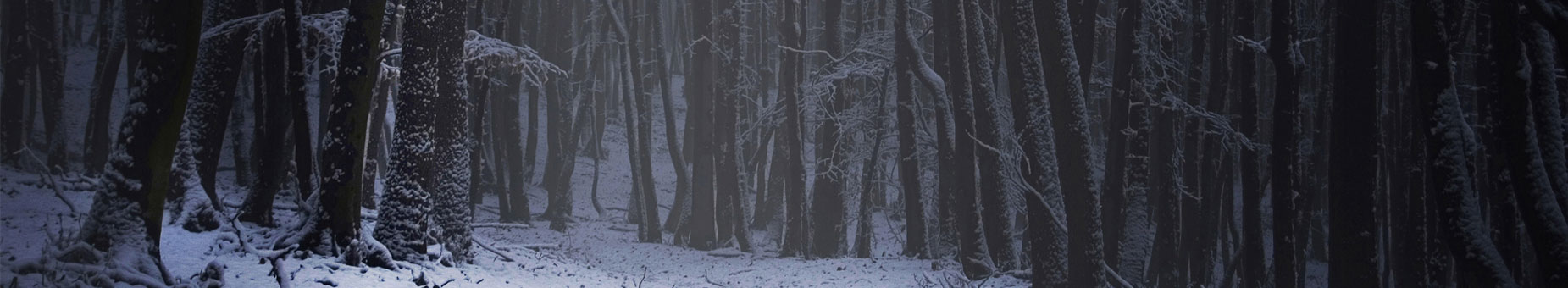 Dark Winter banner