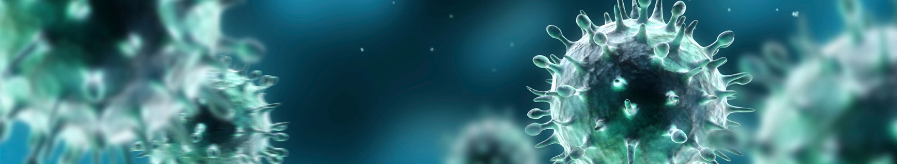 H1N1 banner